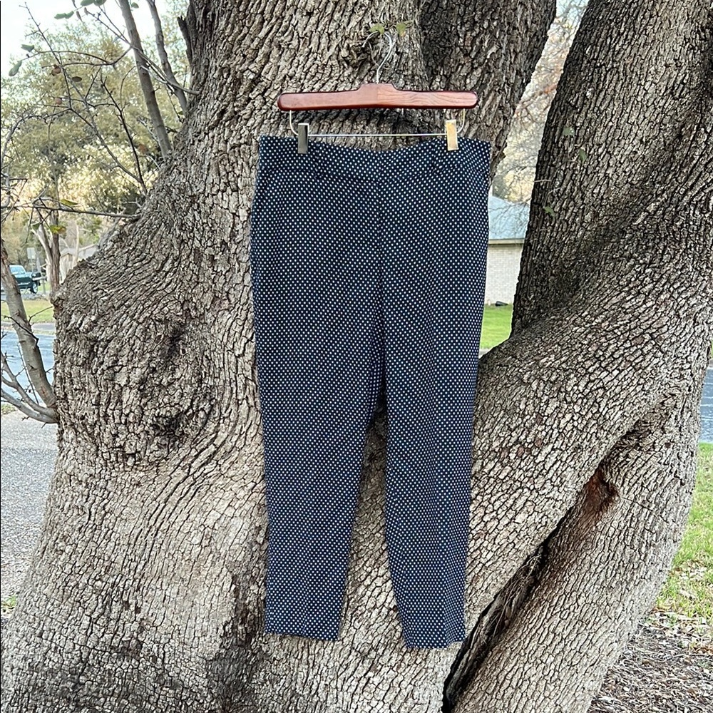 Ann Taylor Navy and White Patterned Pants